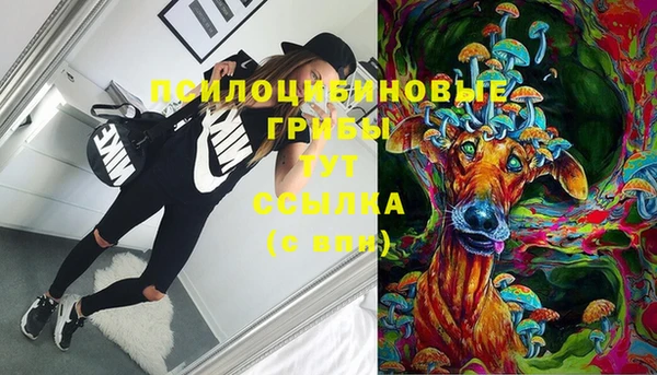 jwh Алзамай