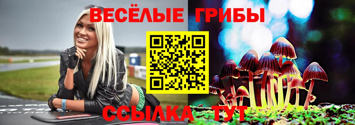 Псилоцибиновые грибы ЛСД Красногорск